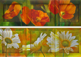 Cornici fiori 10