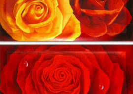 Cornici fiori 8